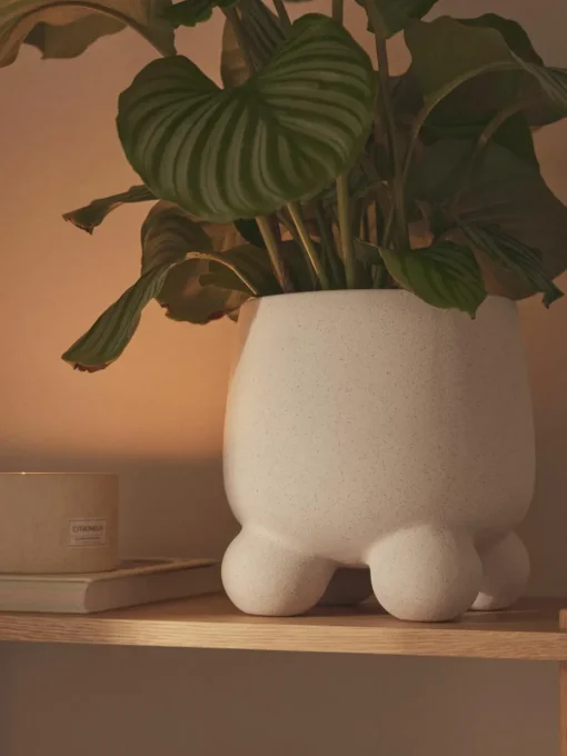 Plantenpot Olea, H 26 cm