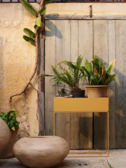 Plantenpot Plant Box