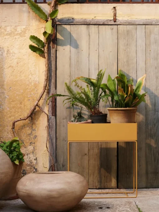 Plantenpot Plant Box