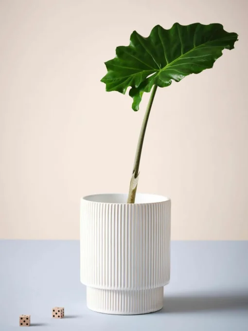 Plantenpot Ruby van keramiek
