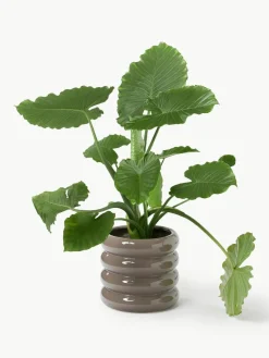 Plantenpot Rudi van keramiek, H 30 cm
