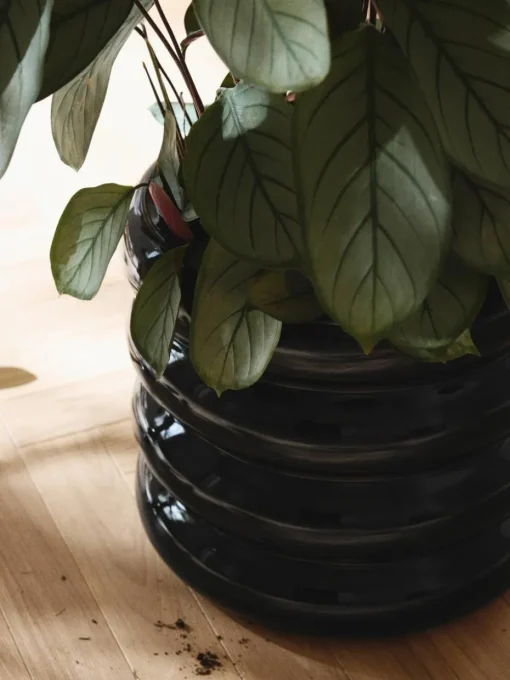 Plantenpot Rudi van keramiek, H 30 cm