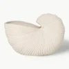 Plantenpot Shell in schelp vorm