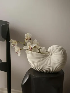 Plantenpot Shell in schelp vorm