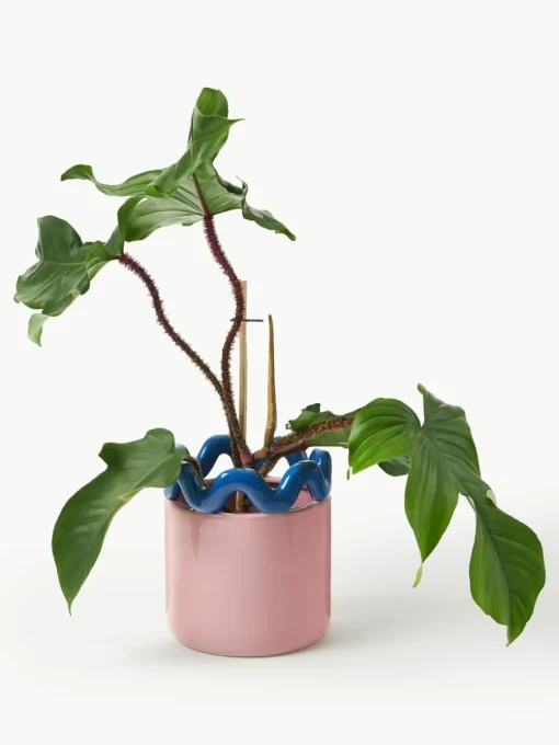 Plantenpot Sway