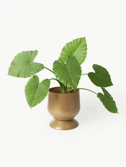Plantenpotten Renya, set van 2