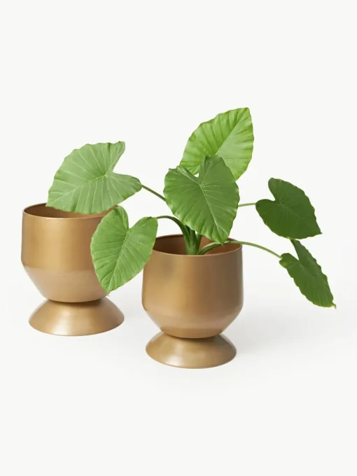Plantenpotten Renya, set van 2