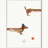 Poster Doug the Dachshund
