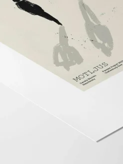 Poster Motljus