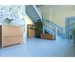 Schoenenkast NewEst met 2 vouwvakken