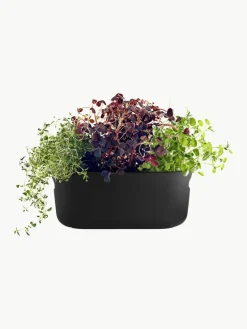 Sponk zelfwatergevende plantenorganizer