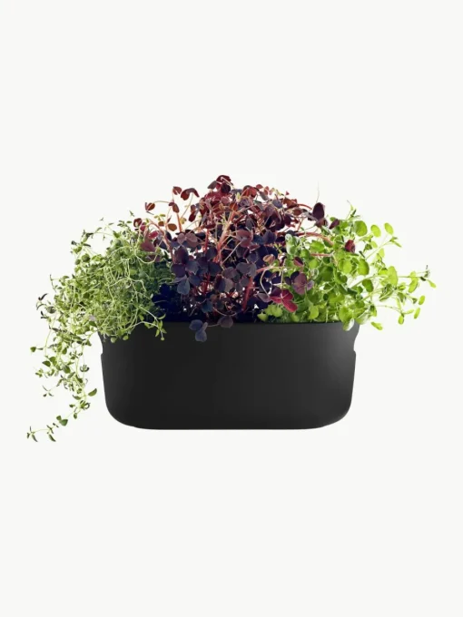 Sponk zelfwatergevende plantenorganizer