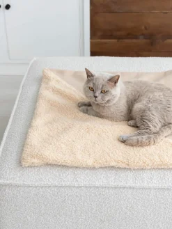Teddy kattendeken Tri