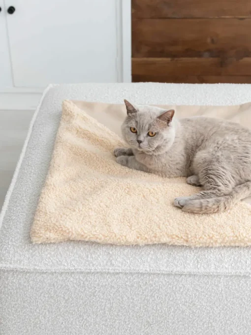 Teddy kattendeken Tri