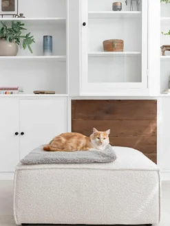 Teddy kattendeken Tri