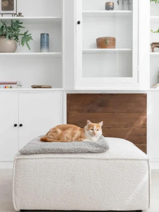 Teddy kattendeken Tri