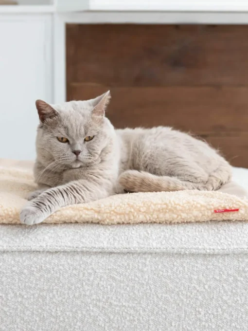 Teddy kattendeken Tri