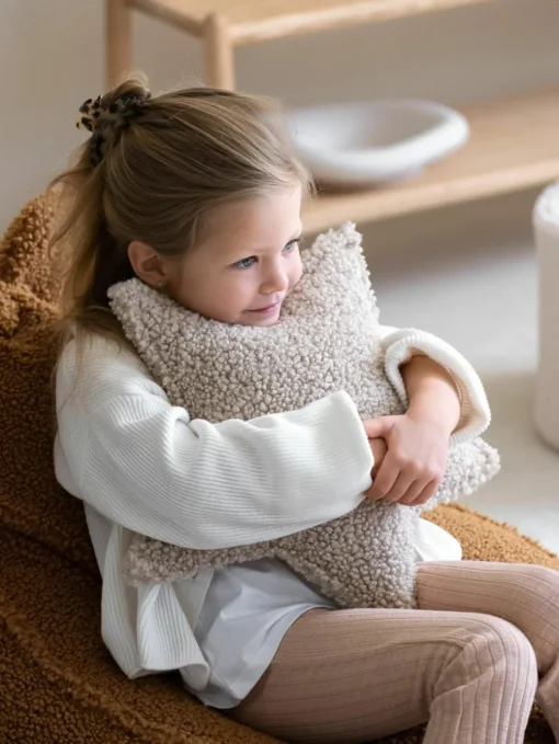 Teddy knuffelkussen Ster