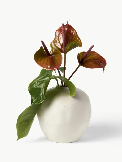 Vaas Bruno van keramiek, H 26 cm