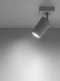 Verstelbare wand- en plafondspot Etna