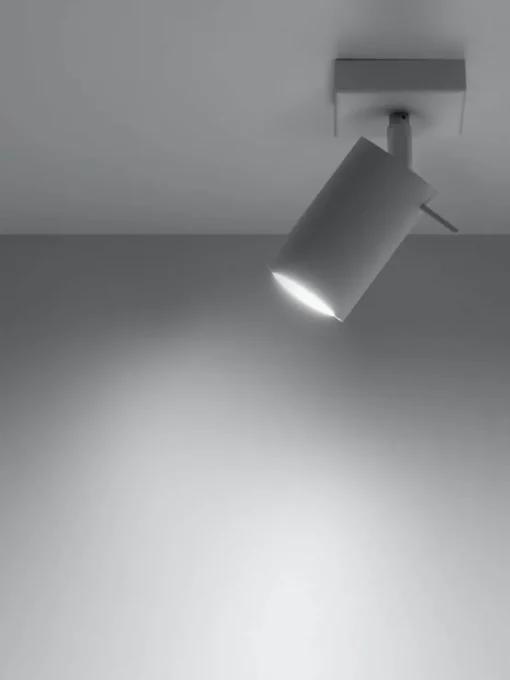 Verstelbare wand- en plafondspot Etna