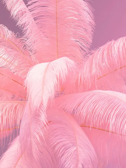 Vloerlamp Feather Palm