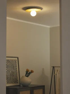 Wand- en plafondlamp Starling