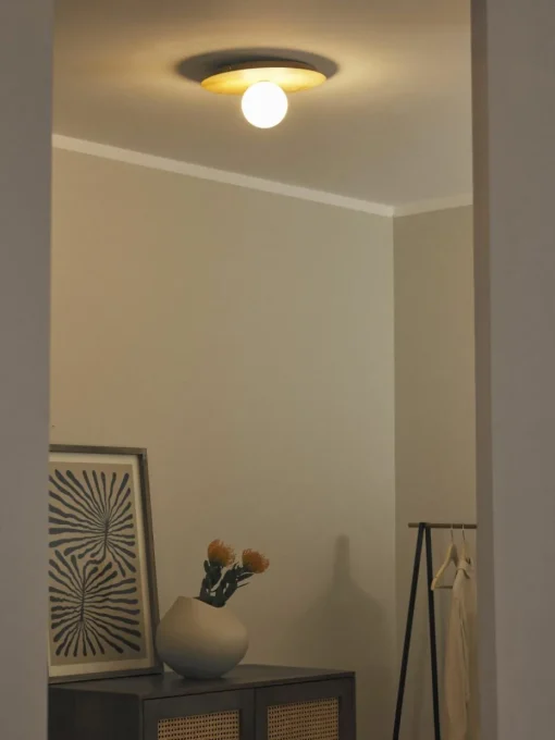 Wand- en plafondlamp Starling