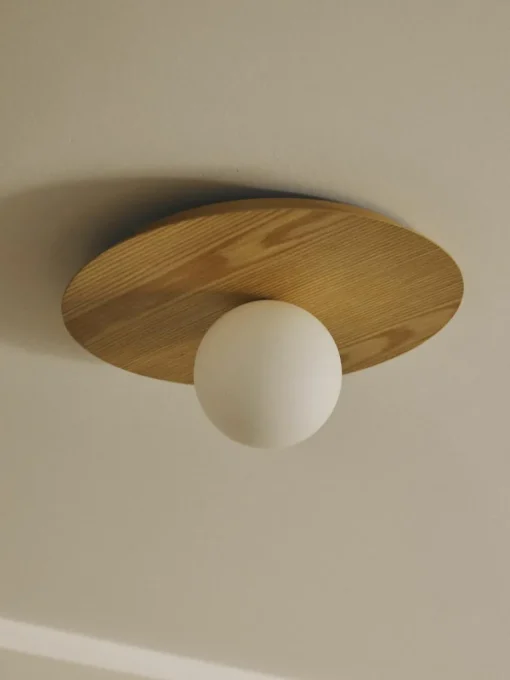 Wand- en plafondlamp Starling