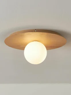 Wand- en plafondlamp Starling