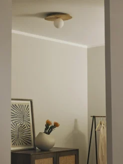 Wand- en plafondlamp Starling