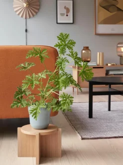 Wandlamp Tenty van papier met stekker