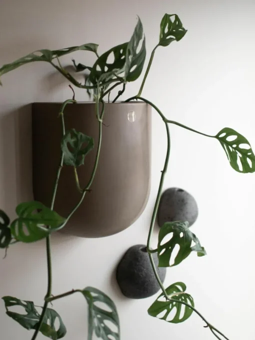 Wandplantenpot Cut, B 21 cm
