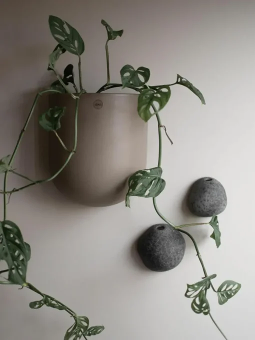 Wandplantenpot Cut, B 15 cm