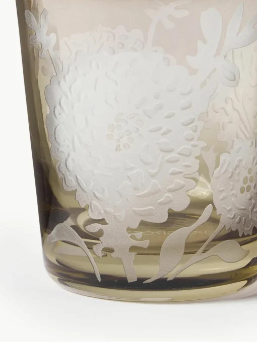 Waterglazen Peony, set van 6