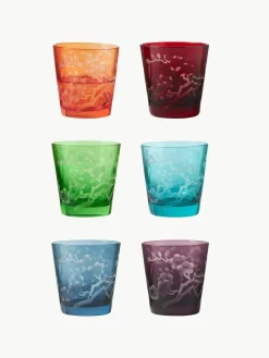 Waterglazenset Bloom, 6-delig